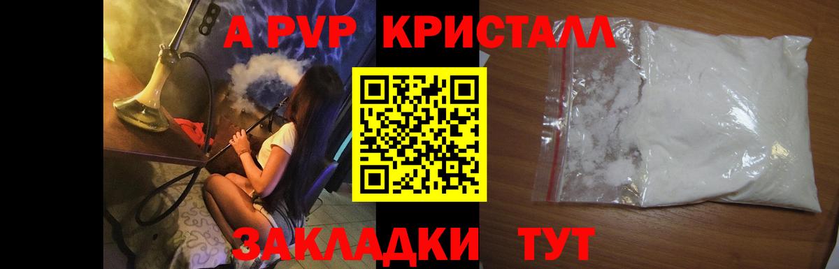 APVP СК Будённовск